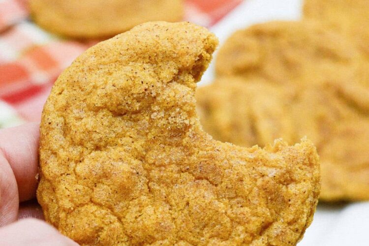 A person holding a pumpkin snickerdoodle with a bite taken out of it.