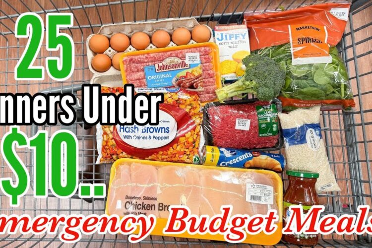 25 EMERGENCY BUDGET MEALS UNDER $10 | Quick & EASY Cheap Dinner Ideas | Julia Pacheco