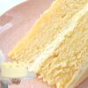 It took me months to perfect this VANILLA CAKE recipe! Soft fluffy vanilla cake