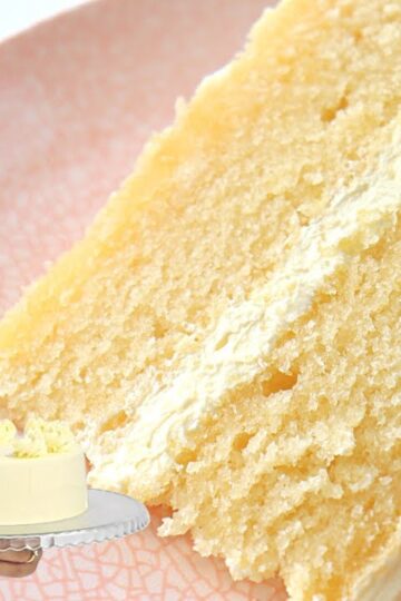 It took me months to perfect this VANILLA CAKE recipe! Soft fluffy vanilla cake