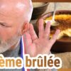 🥄 La crème brûlée