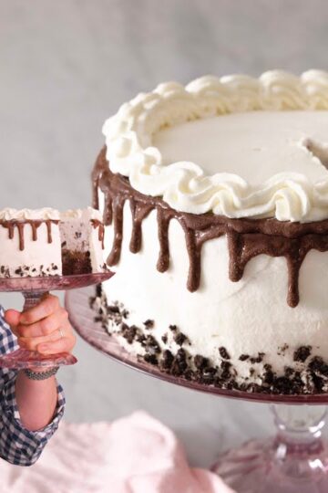 Amazing Ice Cream Cake Recipe