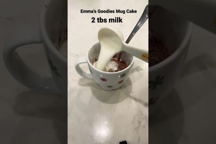 EASY CHOCOLATE MUG CAKE IN THE MICROWAVE!! (Emma’s Goodies)