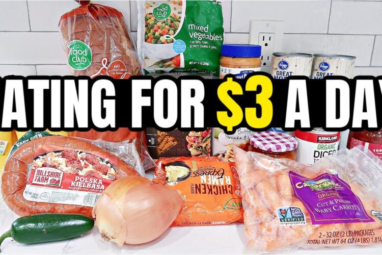 Eating for $3 a Day: Cheap and Healthy Meal Ideas You Need to Try