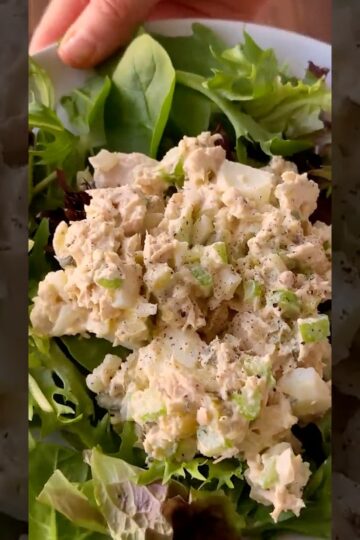 Classic Tuna Salad Recipe #shorts