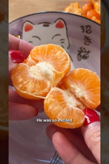 Quick Frozen Fruit Snack