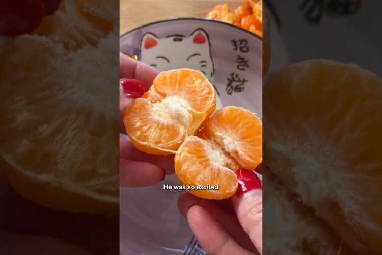 Quick Frozen Fruit Snack