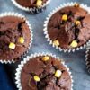 Chocolate muffins with white chocolate chips.