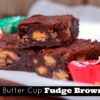 Peanut Butter Cup Fudge Brownies