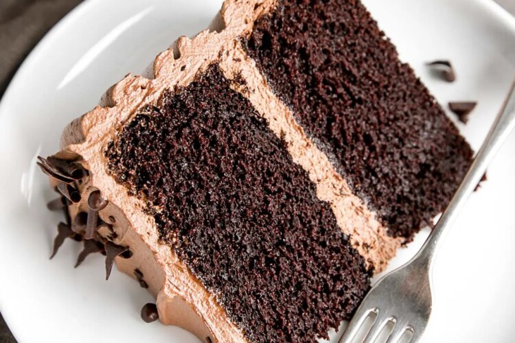 A piece of chocolate cake on a plate