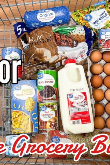 70 Meals For $25 | Quick & EASY Cheap Meal Ideas | Emergency Grocery Budget Shopping | Julia Pacheco