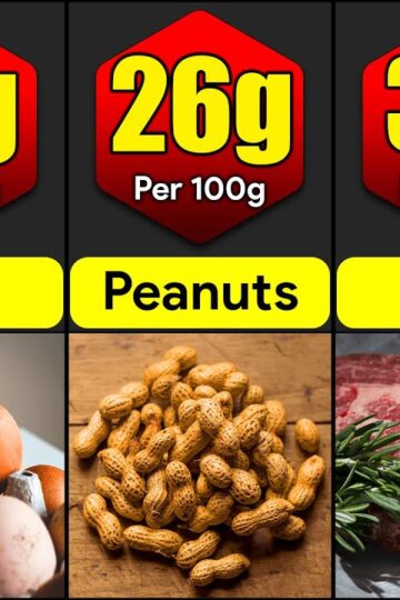 Highest Protein Foods In The World | Comparison