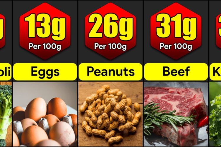 Highest Protein Foods In The World | Comparison