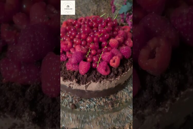 Red currant Raspberry Chocolate Cake! Gateau au chocolat avec groseilles et framboises! 😋