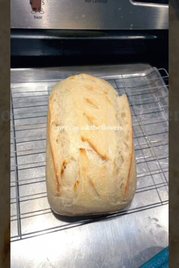 #sourdough #guthealth #youtubeshorts #shorts #bread #yummy #delicious #pretzels #bagels #baking