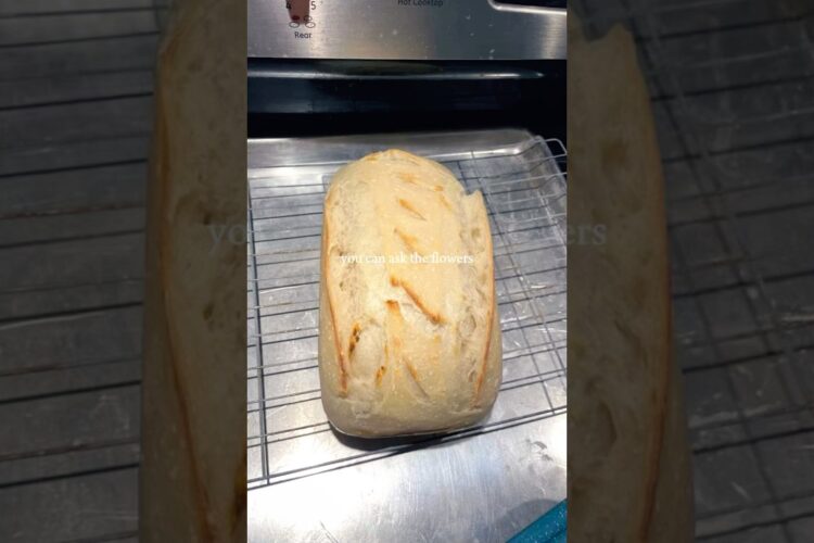 #sourdough #guthealth #youtubeshorts #shorts #bread #yummy #delicious #pretzels #bagels #baking