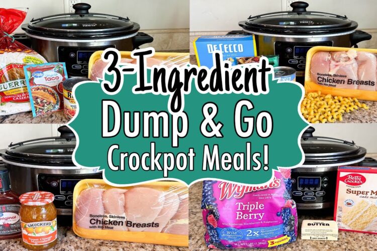 6 DUMP & GO CROCKPOT DINNERS | The BEST Quick & EASY 3-INGREDIENT Slow Cooker Meals | Julia Pacheco