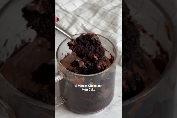 The viral 5 minute chocolate mug cake that everyone says is the best they’ve ever had!