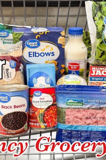 39 Meals For $20 | Quick & EASY Cheap Meal Ideas | Emergency Grocery Budget Shopping | Julia Pacheco