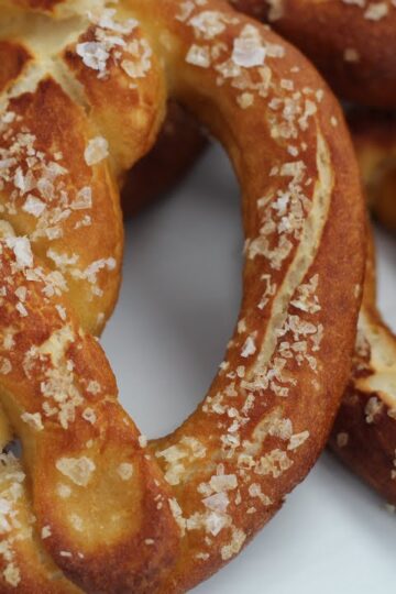 Gluten-Free Sourdough Pretzel Magic: German-Inspired Recipe Revealed