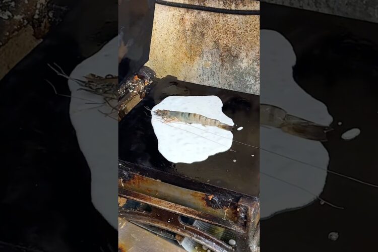 Tokyo’s Most Popular Crispy Shrimp Rice Cracker!