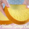 Fluffy Moist Vanilla Sponge Cake. Perfect for Birthday Cake!