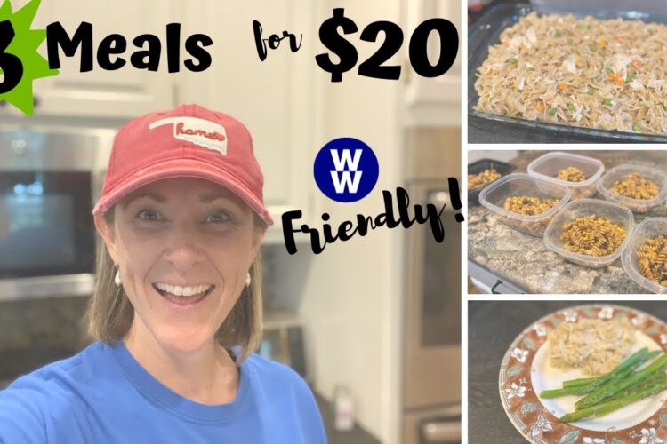 CHEAP, HEALTHY DINNERS // 3 WW MEALS ON A BUDGET // FAMILY FRIENDLY // WEIGHT WATCHERS