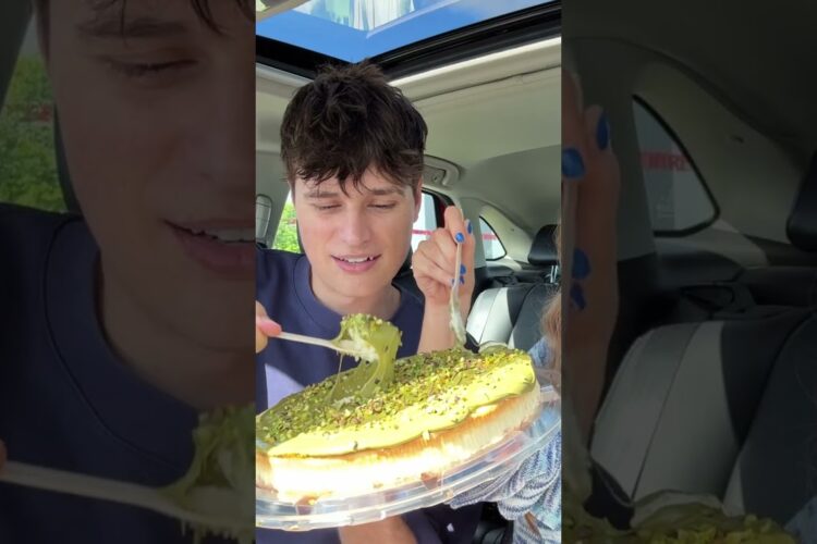 Trying The VIRAL $32 COSTCO Pistachio Cheesecake 💀