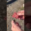 Testing Cracker #shorts #firework #cracker #trick #diy