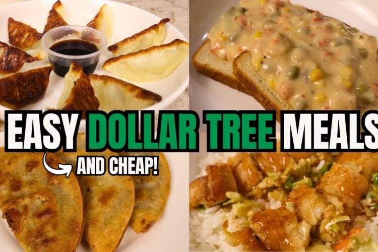 7 Cheap & Easy Dollar Tree Dinner Ideas! (Some of my personal favorites!)