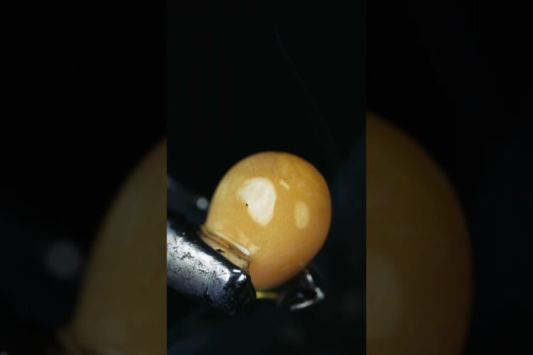 Popcorn in macro and slow motion #urday #closeup