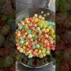 This is a bag of rainbow candy popcorn, it's beautifully made