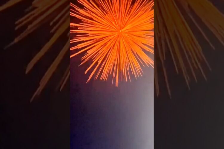 HOT GIRLS TEXAS RIDER VINAYAGA Testing Crackers Diwali Stash 2024🎆 #patakhe #crackers nagpal & sons