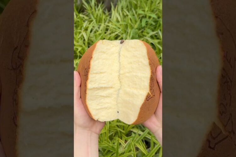 Japanese Cheesecake #たもグルメ #japanesefood