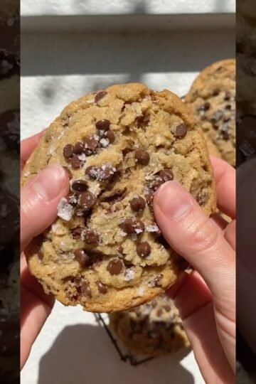 Peanut Butter Chocolate Chip Cookies 🍪