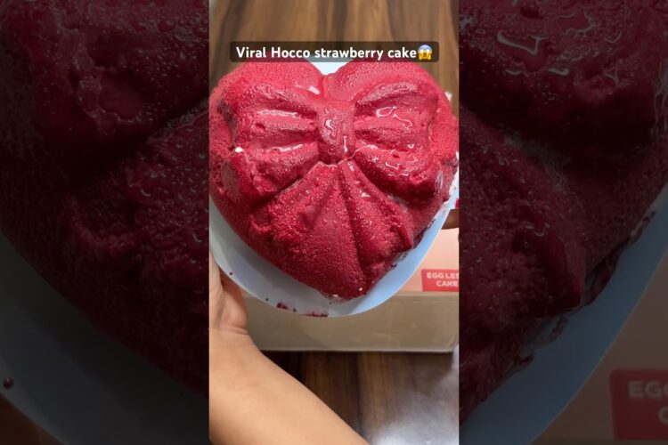 Viral Hocco strawberry cheese cake #shorts #youtubeshorts #hocco