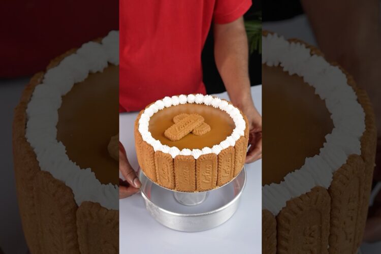 Biscoff Cheese cake #shorts