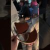 Best Tiramisu in Melbourne