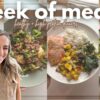what we eat in a week | healthy dinner ideas (high protein!)