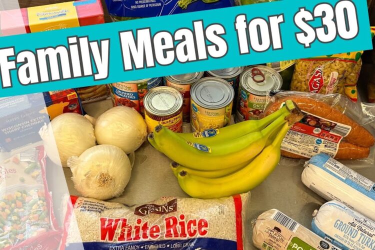 8 Family Meals for $30 | Healthy, Quick, and EASY Recipes | Budget Friendly Meal Plan | Frugal Food