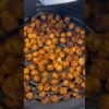 Crispy Airfryer Chickpeas! Cheap and easy snack!