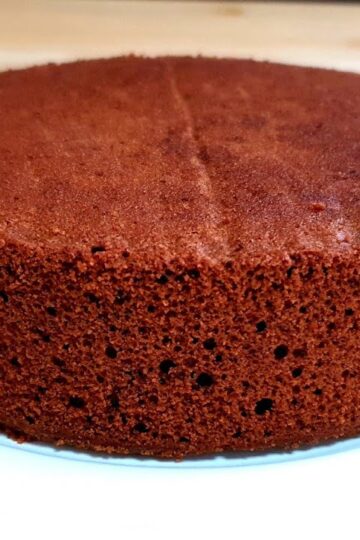 Chocolate Sponge Cake #shorts | Basic Chocolate Cake Recipe