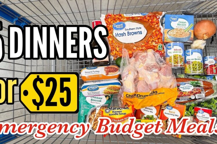 Make 5 EASY Dinners for $25! | Tasty Budget Meals & Walmart Grocery Haul | Julia Pacheco