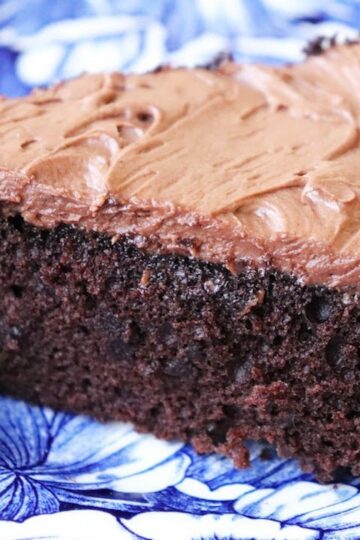 Quick & Easy Chocolate Cake - No eggs. No butter. One bowl.