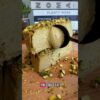 High Protein Pistachio Cheesecake