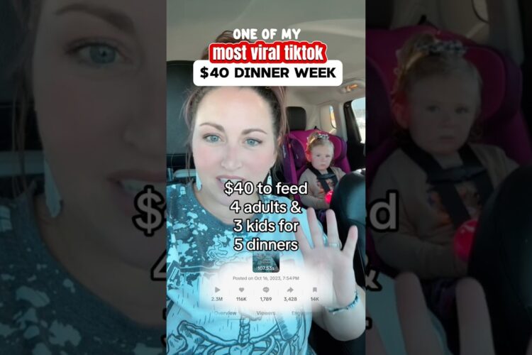 $40 dinner week budget meals ✨ cheap meals for the family ✨ #budgetmeals #momlife