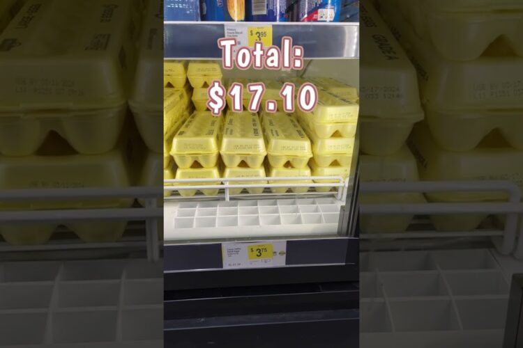 $21 Budget To Eat for a Week at Dollar General #dollargeneralcoupons #budgetgroceryhaul