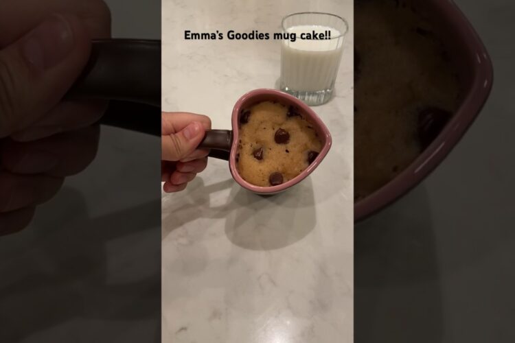 EASY CHOCOLATE CHIP MUG CAKE IN THE MICROWAVE!! (Emma’s Goodies)