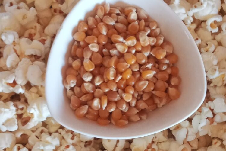 calories of popcorn