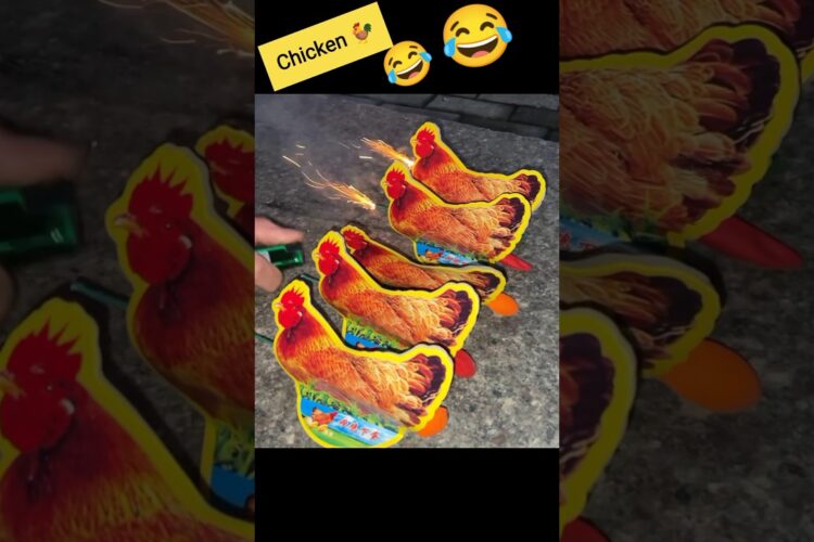 fire cracker 💥 178 #mrboombaam #fireworks #firecrackers #shorts